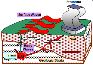 Arrival of Seismic Waves at a Site